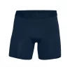 Men's Under Armour Tech Mesh 6in 2 Pack Boxer Briefs -O’Neill Shop 19451321084