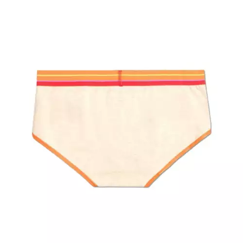 Women's Bombas Plus Cotton Modal Briefs 5 Women's Bombas Plus Cotton Modal Briefs - Image 3